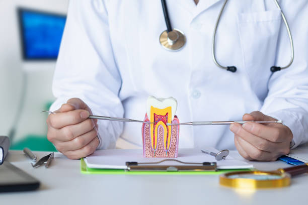 Best Emergency Tooth Extraction in Willits, CA